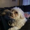 hailey949